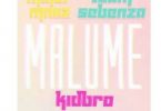 Major Mniiz & Team Sebenza – Malume Ft. Kidbro Mp3 download
