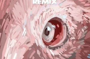 25K – Culture Vulture (Remix) ft. Boity Mp3 Download