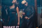 D'Banj Shake It ft Tiwa Savage mp3 download
