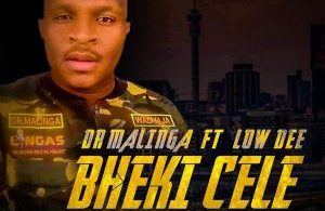 Dr Malinga – Bheki Cele ft. Low Dee Mp3