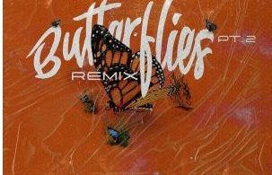 Queen Naija & Wale Butterflies Pt. 2 Remix Mp3 Download 