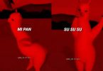 DOWNLOAD MP3: Den BB – Mi Pan Su Su Sum » MULTILOADED