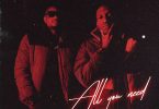 EP: DJ Tunez & J. Anthoni – All You Need