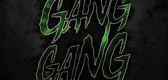 Polo G & Lil Wayne – Gang Gang