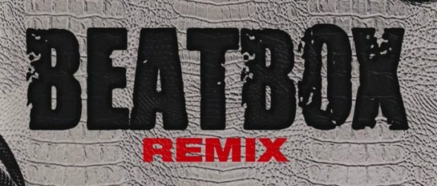 Lil Eazzyy – Beatbox Freestyle (Remix)