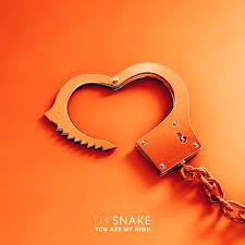 Download DJ Snake You Are My High MP3 Download