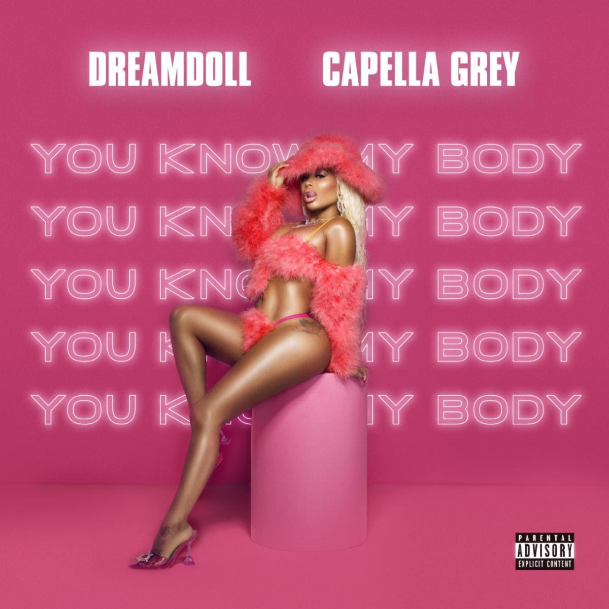 DreamDoll Ft. Capella Grey – You Know My Body
