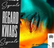 Regard & Kwabs Signals Mp3 Download