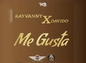 Download Rayvanny Me Gusta ft Davido Mp3 Download