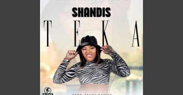 Shandis - Teka (Radio Edit)