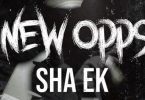Download Sha Ek New Opps Mp3 Download