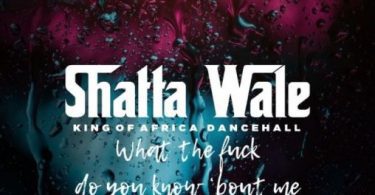 Download Shatta Wale what the fuck MP3 Download