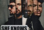Dimitri Vegas – She Knows (With Akon) Ft. Like Mike, David Guetta, Afro bros & And Akon