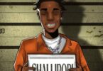Download Shallipopi Ex Convict MP3 Download