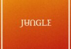 Jungle Ft. Roots Manuva – You Ain’t No Celebrity