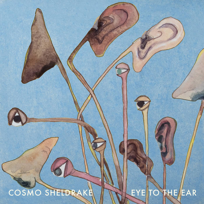 Cosmo Sheldrake – Stop the Music