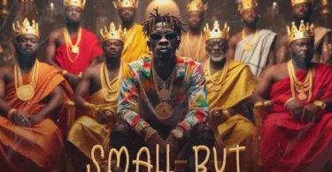 Shatta Wale – Small But Mighty